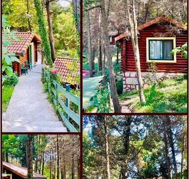 Ağva Orman Evleri Forest Lodge